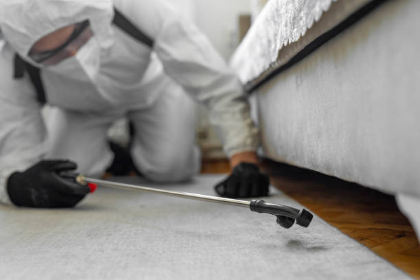 Professional Cockroach Control technician working in Attalla, AL